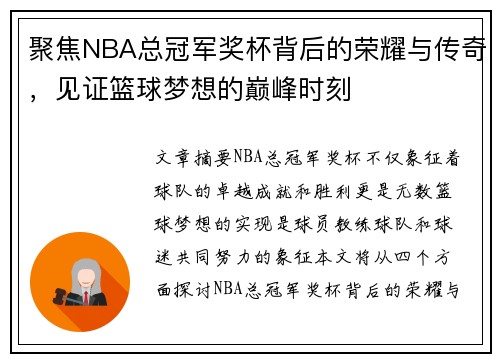 聚焦NBA总冠军奖杯背后的荣耀与传奇，见证篮球梦想的巅峰时刻